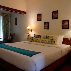 Garden View Deluxe Room